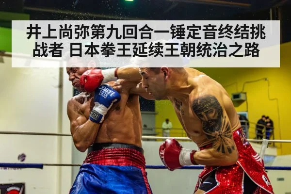 井上尚弥第九回合一锤定音终结挑战者 日本拳王延续王朝统治之路
